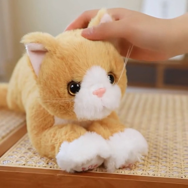Amazon.co.jp: Hyack 猫 ぬいぐるみ ねこ 抱き枕 おもちゃ